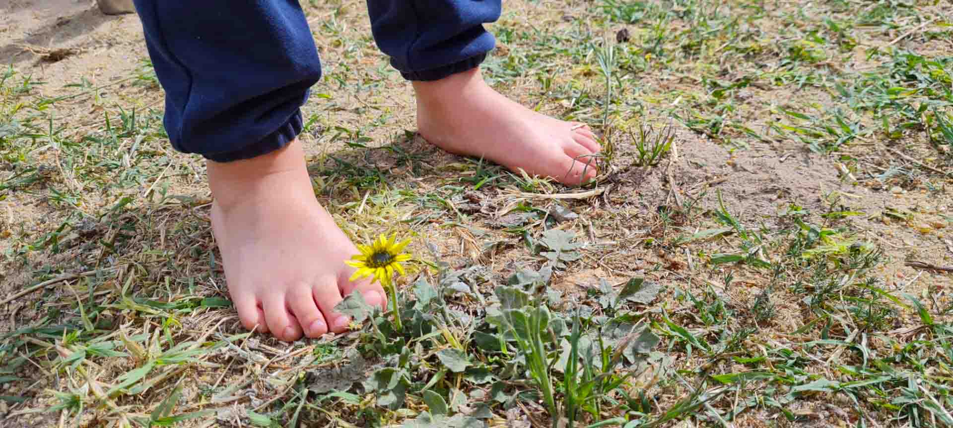 SaaS Businesses Image